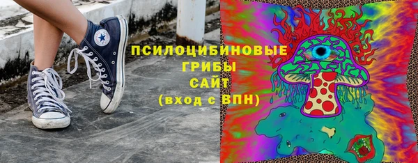 амф Елизово