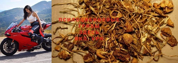 экстази Ельня