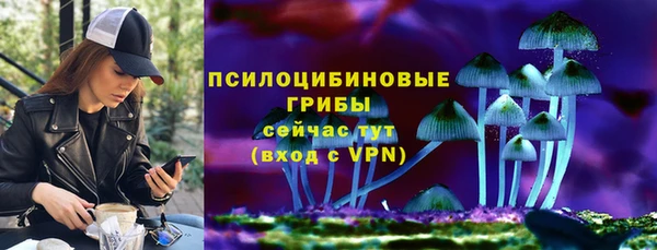 экстази Ельня