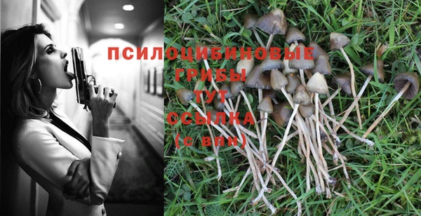 экстази Ельня
