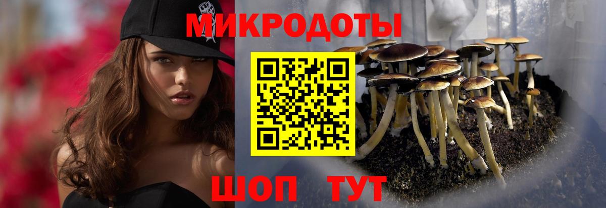 купить закладку  Вход с VPN  Псилоцибиновые грибы MAGIC MUSHROOMS  Саянск  Псилоцибиновые грибы Psilocybe 